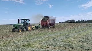 Chopping first crop alfalfa and filling silo [upl. by Jackson]