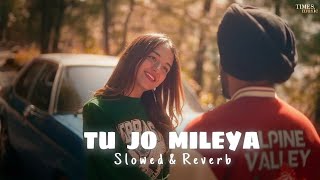 TU JO MILEYA SLOWED REVERBtseries tseriesapnapunjab [upl. by Gauntlett140]