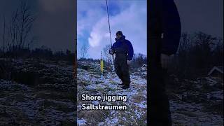 shorefishingnorway savagegearjiggingrods norwayfishing saltstraumen cod saltiga [upl. by Nottage228]