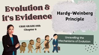 Evolution Hardy Weinberg Principle Lec 7 CBSE 12th [upl. by Sirraf]