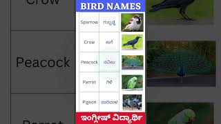 Learn 5 Bird Names in English and Kannada 🐦✨ Improve your vocabulary kannada [upl. by Yorztif]