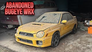 First Wash in 7 Years Subaru WRX Bugeye ABANDONED in Barn  Car Detailing Restoration [upl. by Alletnahs]