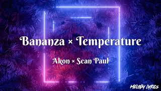 Akon × Sean Paul  Bananza Belly Dancer × Temperature 【Lyrics】 [upl. by Stier854]