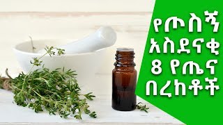 Ethiopia የጦስኝ 8ቱ አስደናቂ የጤና በረከቶች Benefits of thyme Nuro Bezede [upl. by Boorman410]