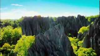 Island of Lemurs Madagascar TRAILER I like to move it King Julien [upl. by Gromme496]