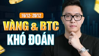 Vàng Và Bitcoin Sẽ BẬT TĂNG Hay SẬP SÂU Sau Quyết Định Lãi Suất Của FED Tuần Sau  mInvest [upl. by Anelak]