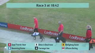 Crayford Greyhounds Races on 15th September 2024 [upl. by Dibri]