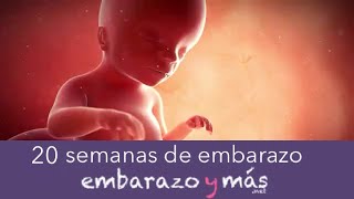 20 semanas de embarazo  Quinto mes  EMBARAZOYMAS [upl. by Leile629]