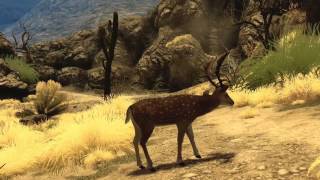 Cabelas Big Game Hunter 2010  long dev trailer [upl. by Pitchford]