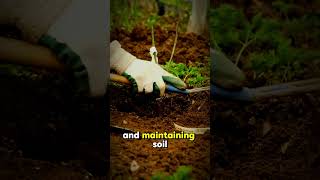 Homesteading Basics for Beginners Start Your SelfSufficient Journey 🌱 survivalshorts [upl. by Meta]