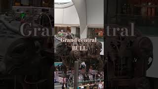 The bull in grand central in town Birmingham [upl. by Myrah436]