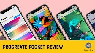 Procreate Pocket for the iPhone Review [upl. by Laura]