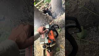 Fast cutting with chainsaw forest chainsaws echo [upl. by Silyhp]