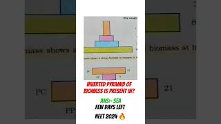 pyramid of number biomass energy graph for Neet neetmotivation neet mbbs doctor [upl. by Apostles]