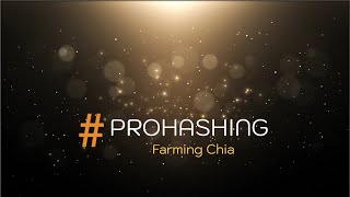 Farming Chia With PROHASHING  See Details for updated farming URL [upl. by Lay]