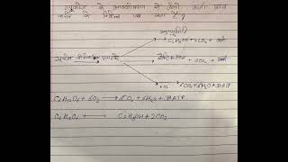 glucose ke oxykaran se jivo urja prapt karne ke vibhinn pad kya hai [upl. by Alia182]