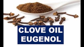 CLOVE OIL EXTRACTION ncchem [upl. by Enyrehtac]