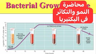 محاضرة التكاثر والنمو فى البكتيريا Bacterial Reproduction and Growth [upl. by Tara]