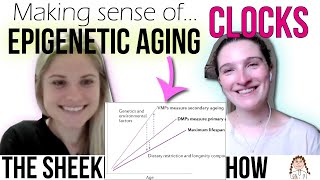 How to study aging with DNA methylation [upl. by Elodea27]