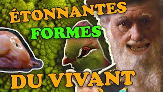 Doù viennent les formes du vivant   PdS03 [upl. by Hayyifas]