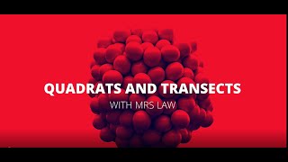 Quadrats core practical edexcel with Mrs Law [upl. by Giacobo]