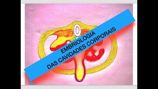 EMBRIOLOGIA DAS CAVIDADES DO CORPO [upl. by Eniretak]