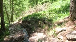 Enduro Queyras Descente de la Chapelle St Simon vers La Chalp [upl. by Ailadgim381]