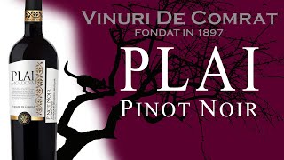 PLAI Moldova Pinot Noir 2018 [upl. by Nyrehtak]