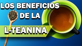 BENEFICIOS DE LA LTEANINA  NUTRICION ORTOMOLECULAR  CAP 067 [upl. by Gean]