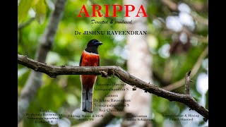 ARIPPA  The Award winning Wildlife Documentary [upl. by Barnie54]