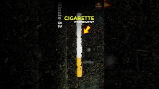 CIGARETTE सिगरेट EXPERIMENT  shorts [upl. by Aihgn726]