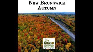 New Brunswick Autumn [upl. by Arber]