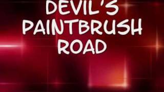 the wailin jennys devils paintbrush road with lyrics [upl. by Annorah151]