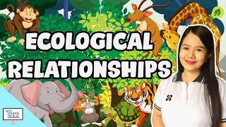 Ecological Relationships Predation Commensalism Mutualism Parasitism Competition  Biology [upl. by Smaj]