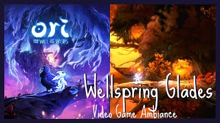 Wellspring Glades  Ori and the Will of the Wisps  Relaxing Video Game Ambiance OST No Commentary [upl. by Otter989]