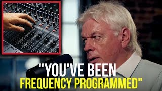 quotMusic Is Frequency Programmingquot 440HZ [upl. by Nrublim]