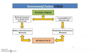 Senescence in Plants [upl. by Nohsram]