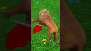 Lion is hunting share gaming lion tiger shortsvideo [upl. by Idac]