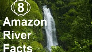 8 Facts About Amazon River That will Blow Your Mind [upl. by Klatt403]