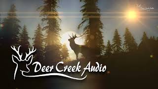 Deer Creek Audio  Digital Signal Processing Products [upl. by Neillij538]