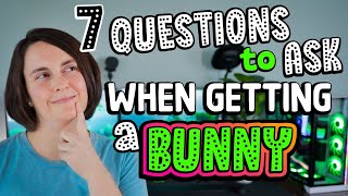 Top 7 Questions to Ask when Getting a Bunny 🐰 [upl. by Furgeson]