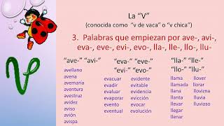 REGLAS DE LA B Y V [upl. by Mikal]