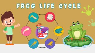 Life Cycle Of A Frog  Best learning videos  Metamorphosis  Educational videos  Frog  ZE Kids [upl. by Attelrak]