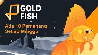 GoldFish GFISH Diundi 10 Pemenang Holder Setiap Minggu [upl. by Adigirb]