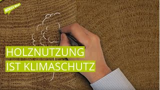 Holznutzung ist Klimaschutz  Animationsfilm [upl. by Sesylu]