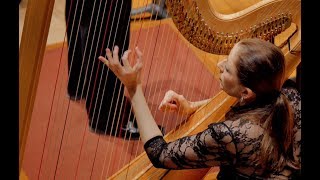 Ginastera Harp Concerto III Liberamente capriccioso  Vivace Yolanda Kondonassis harp [upl. by Buna]