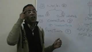 Physiology Motor Basal Ganglia Part 1 Dr Mohamed Fayez [upl. by Fruma160]