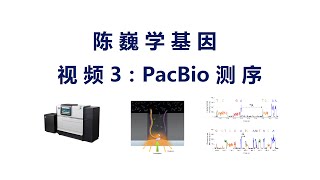 【陈巍学基因】 视频3：Pacific Biosciences Sequencing [upl. by Clarie878]