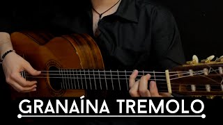 Un Tremolo por Granaína [upl. by Knipe]