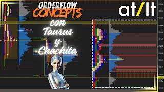 ☝️☑️☑️CAPAS DE INFORMACIÓN  ORDER FLOW CONCEPTS con Taurus de ATLT ✅✅ [upl. by Thar]